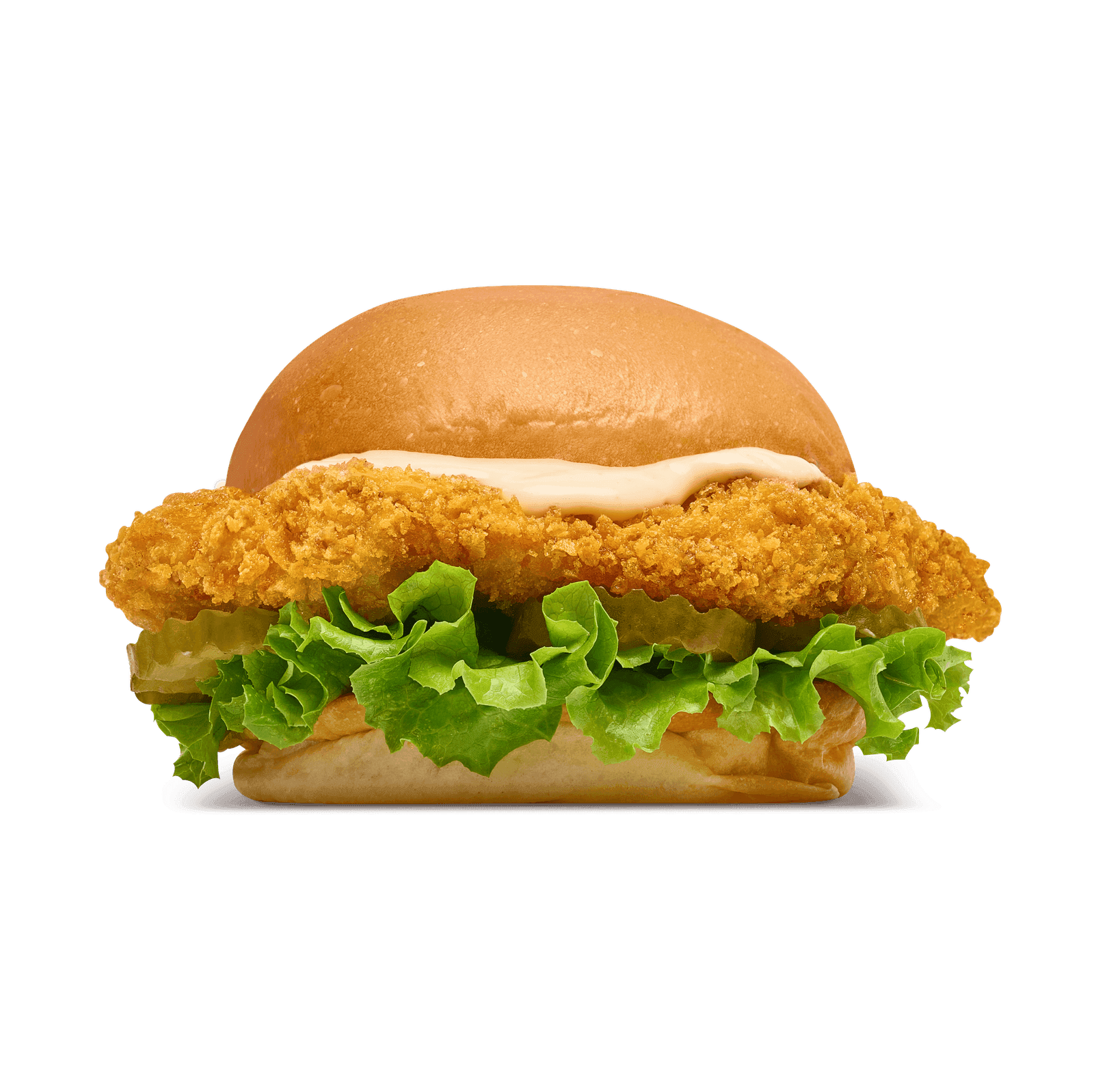 CRISPY CHICKEN